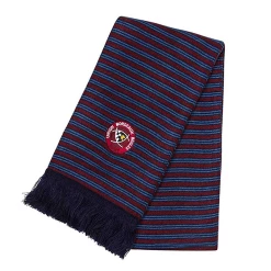 Meilleur prix 👍 Mode- Lifestyle Femme Canterbury Ubb Echarpe Canterbury Acrylique MULTICOLORE ⭐